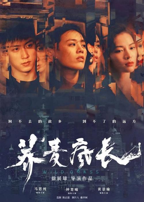 卢瓦尔河谷院校联盟建筑学文凭证书